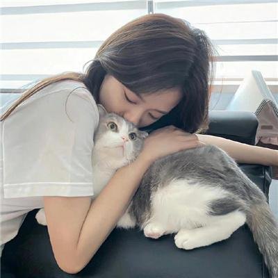 诺娃队长